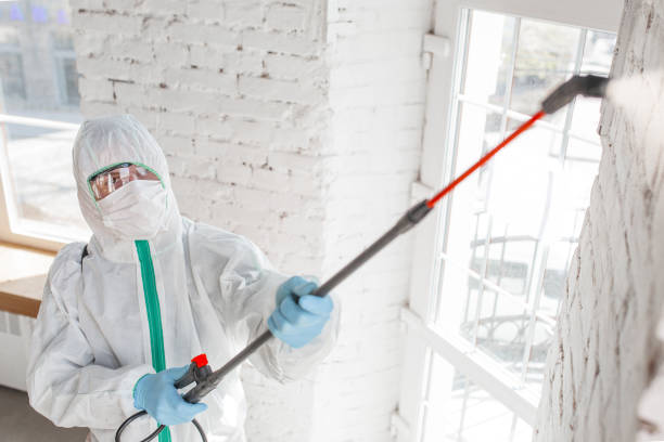 Best Biohazard Mold Removal  in Concord, NH