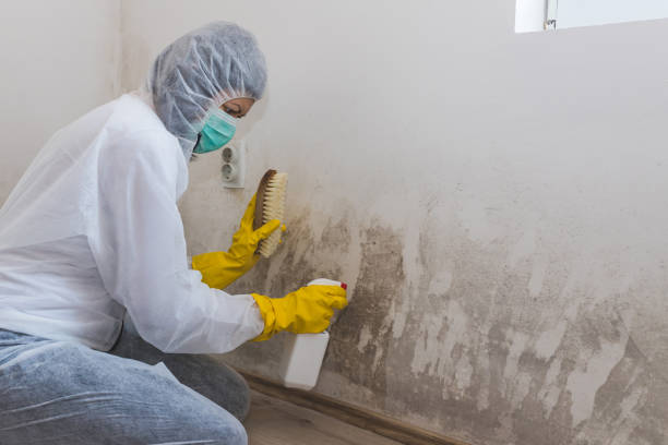 Mold Removal for HVAC Installations in Concord, NH