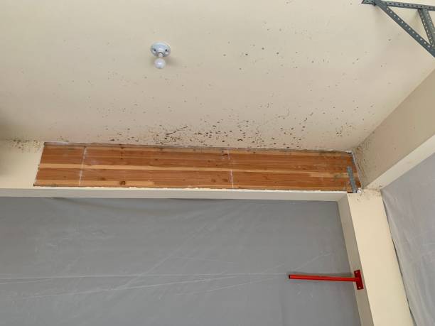 Dehumidification Services in Concord, NH