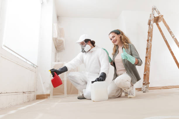 Best Water Damage & Mold Remediation  in Concord, NH
