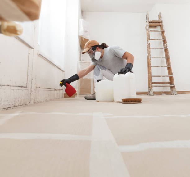 Best Crawl Space Mold Remediation  in Concord, NH