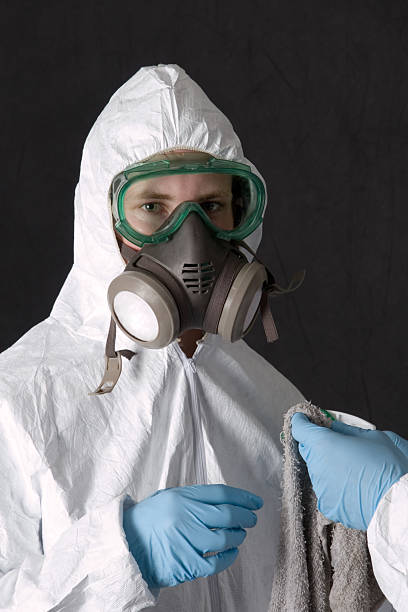 Best Basement Mold Removal  in Concord, NH